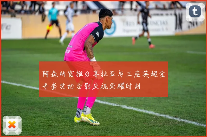 阿森纳官推分享拉亚与三座英超金手套奖的合影庆祝荣耀时刻